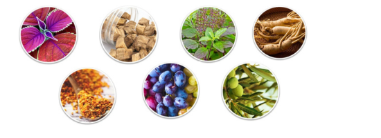 Ageless Body System Ingredients 