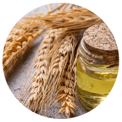 Genuine Purity Spermidine Ingredients
