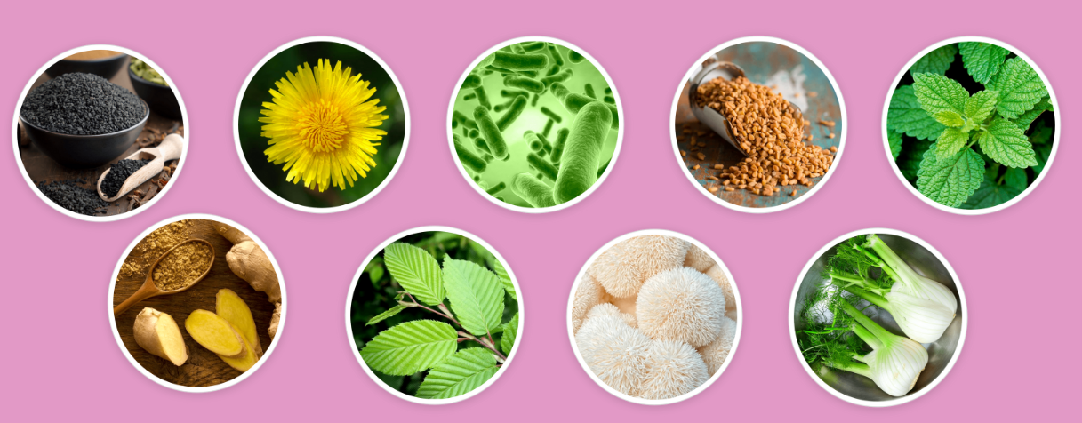 Neotonics Ingredients